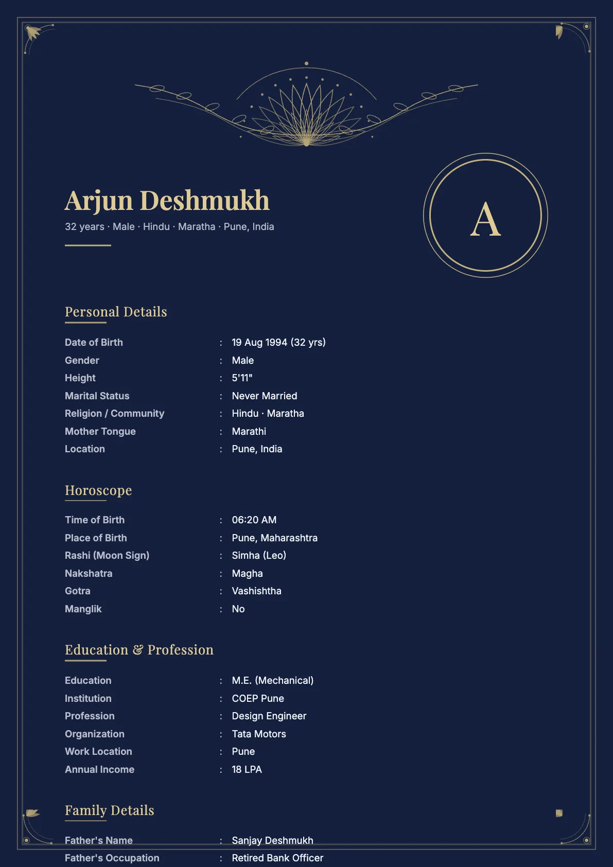 Royal Velvet Biodata Template in Midnight
